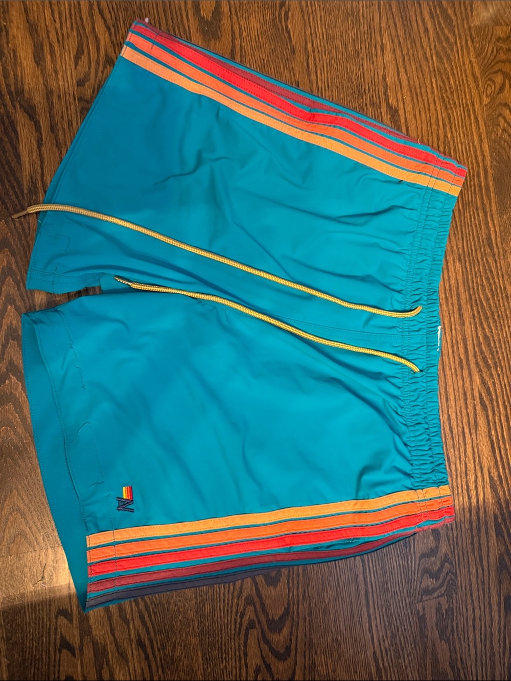 Men's Teal Swim Trunks with Rainbow Stripe Detail